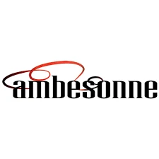 Ambesonne